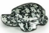 Carved Chinese Writing Rock Turtle - BC Canada #331638-1